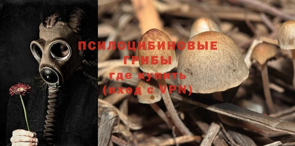 спиды Балахна